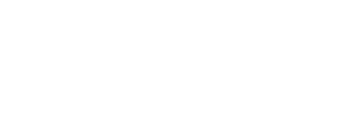 Bulgaria Air